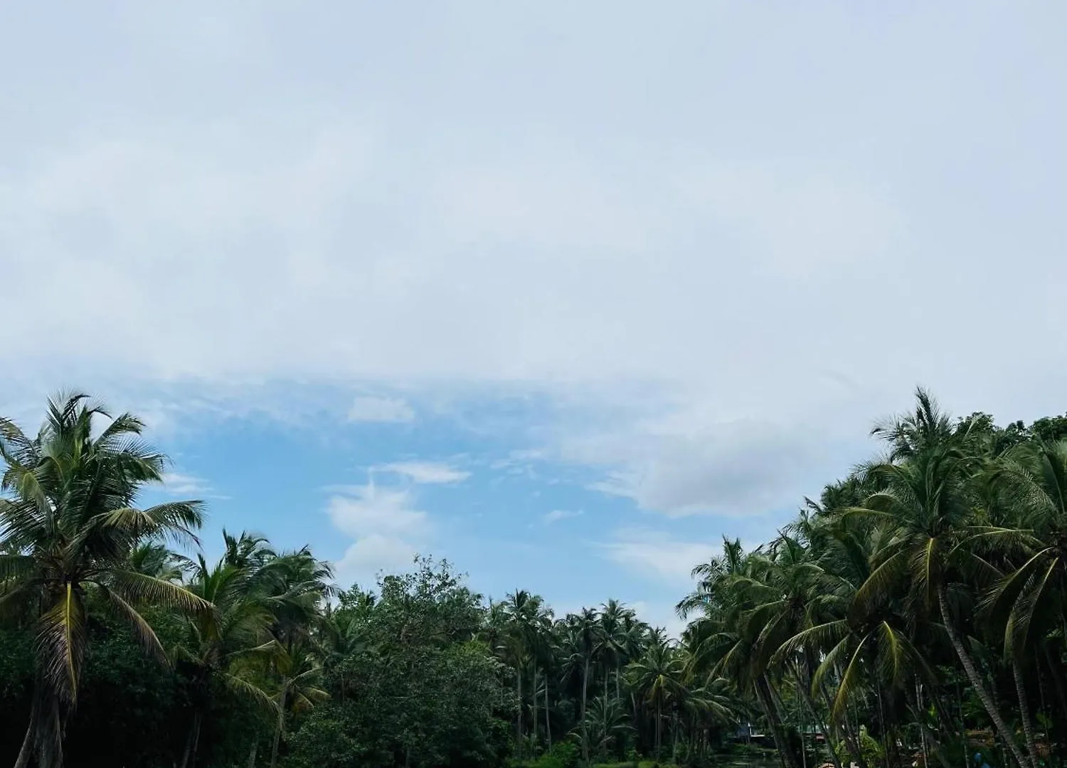 Casa vacanze Aambal Resort Kozhikode